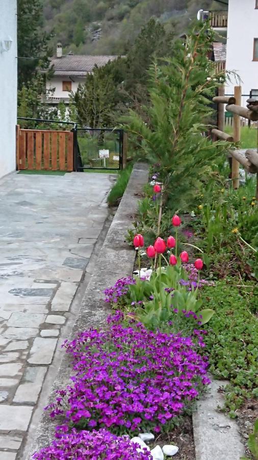 B&B Maison Odille Valtournenche Εξωτερικό φωτογραφία