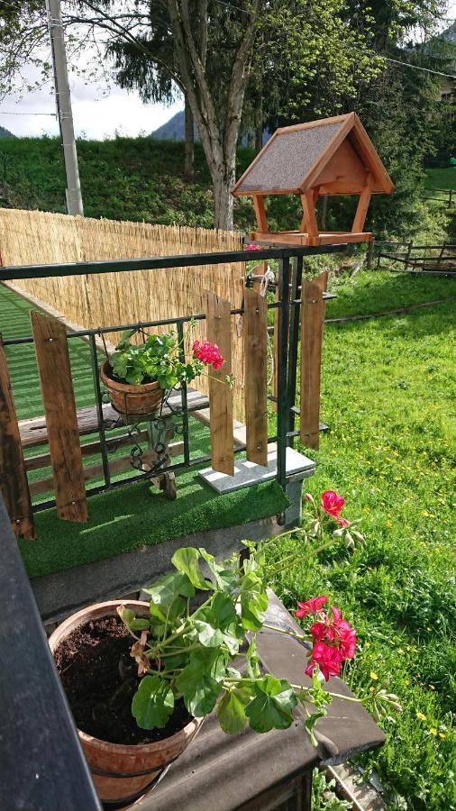 B&B Maison Odille Valtournenche Εξωτερικό φωτογραφία