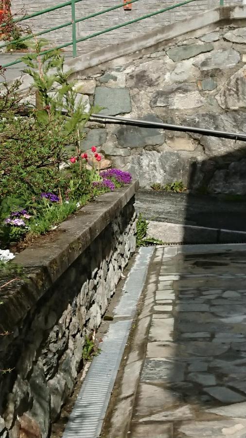 B&B Maison Odille Valtournenche Εξωτερικό φωτογραφία