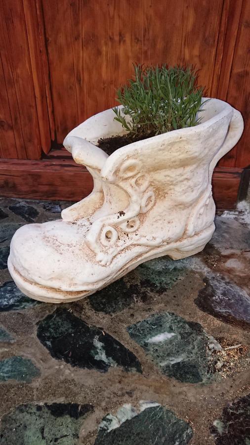 B&B Maison Odille Valtournenche Εξωτερικό φωτογραφία