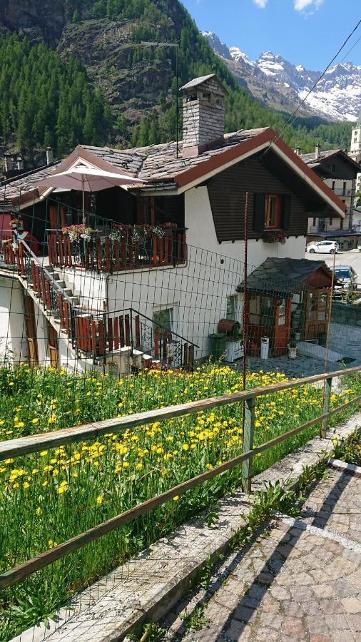 B&B Maison Odille Valtournenche Εξωτερικό φωτογραφία